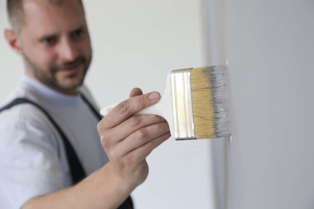 What to Get Out of Expert Painters?