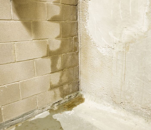 Does Your Home Require Crawl Space Waterproofing? (Homeowners Guide)